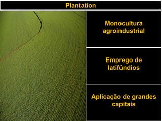 Plantation

              Monocultura
             agroindustrial



             Emprego de
              latifúndios



        Aplicação de grandes
               capitais
 