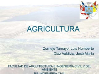 AGRICULTURA

                    Cornejo Tamayo, Luis Humberto
                          Díaz Valdivia, José María


FACULTAD DE ARQUITECTURA E INGENIERÍA CIVIL Y DEL
                   AMBIENTE
 