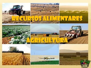 RECURSOS ALIMENTARES
AGRICULTURA
 