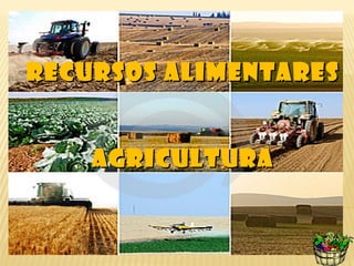 RECURSOS ALIMENTARES


    AGRICULTURA
 