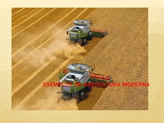 EXEMPLOS DE AGRICULTURA MODERNA
 