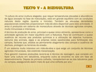 TEXTO V - A RIZICULTURA

“A cultura do arroz (cultura alagada), que requer temperaturas elevadas e abundância
de água (excepto na fase de maturação), está em grande equilíbrio com as condições
naturais desta região (quente e húmida). Também as elevadas densidades
populacionais existentes proporcionam mão-de-obra disponível para esta actividade. O
arroz é produzido em sistema de monocultura através de técnicas agrícolas simples,
muito minuciosas e intensivas.
A técnica de produção do arroz, principal e quase único alimento, apresenta-se como a
actividade agrícola em maior equilíbrio com a Natureza. Para tal contribuem a quase
ausência de recurso aos produtos químicos e a utilização de dejectos humanos,
estrume dos animais, algas e as próprias raízes apodrecidas para fertilização dos
campos, factores que, aliados ao permanente alagamento dos campos e ausência de
declives, protegem os terrenos da erosão.
É um sistema muito intensivo em mão-de-obra e que exige um conjunto de técnicas
agrícolas minuciosas, não existindo mecanização.
Para garantir maiores produções recorre-se à técnica da repicagem, que consiste em
fazer uma cultura em tabuleiros, enquanto outra se encontra no solo em fase de
desenvolvimento. Depois da primeira colheita, transplantam-se as dos tabuleiros para
os campos, assegurando assim mais do que uma colheita por ano.”
 