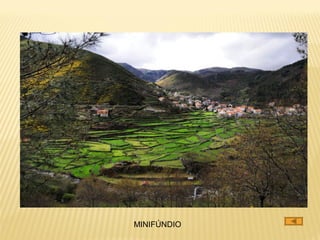 MINIFÚNDIO
 
