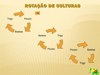 ROTAÇÃO DE CULTURAS

Trigo             Pousio




        Batatas
                           Batatas            Trigo




                                     Pousio           Pousio           Batatas




                                                               Trigo
 