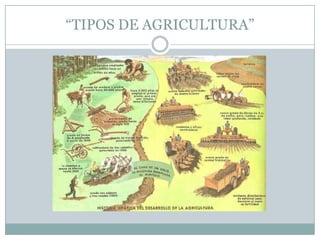 “TIPOS DE AGRICULTURA”
 