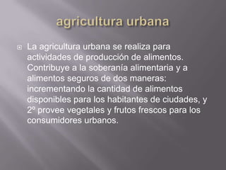    La agricultura urbana se realiza para
    actividades de producción de alimentos.
    Contribuye a la soberanía alimentaria y a
    alimentos seguros de dos maneras:
    incrementando la cantidad de alimentos
    disponibles para los habitantes de ciudades, y
    2º provee vegetales y frutos frescos para los
    consumidores urbanos.
 