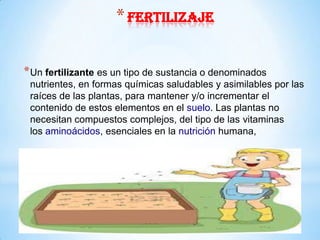 * fertilizaje

* Un fertilizante es un tipo de sustancia o denominados
 nutrientes, en formas químicas saludables y asimilables por las
 raíces de las plantas, para mantener y/o incrementar el
 contenido de estos elementos en el suelo. Las plantas no
 necesitan compuestos complejos, del tipo de las vitaminas
 los aminoácidos, esenciales en la nutrición humana,
 