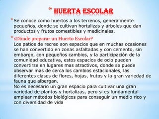 * Huerta escolar
* Se conoce como huertos a los terrenos, generalmente
 pequeños, donde se cultivan hortalizas y árboles que dan
 productos y frutos comestibles y medicinales.
* ¿Dónde preparar un Huerto Escolar?
 Los patios de recreo son espacios que en muchas ocasiones
 se han convertido en zonas asfaltadas y con cemento, sin
 embargo, con pequeños cambios, y la participación de la
 comunidad educativa, estos espacios de ocio pueden
 convertirse en lugares mas atractivos, donde se puede
 observar mas de cerca los cambios estacionales, las
 diferentes clases de flores, hojas, frutos y la gran variedad de
 fauna que albergan.
 No es necesario un gran espacio para cultivar una gran
 variedad de plantas y hortalizas, pero si es fundamental
 emplear métodos biológicos para conseguir un medio rico y
 con diversidad de vida
 
