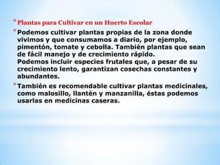 * Plantas para Cultivar en un Huerto Escolar
* Podemos cultivar plantas propias de la zona donde
 vivimos y que consumamos a diario, por ejemplo,
 pimentón, tomate y cebolla. También plantas que sean
 de fácil manejo y de crecimiento rápido.
 Podemos incluir especies frutales que, a pesar de su
 crecimiento lento, garantizan cosechas constantes y
 abundantes.
* También es recomendable cultivar plantas medicinales,
 como malosillo, llantén y manzanilla, éstas podemos
 usarlas en medicinas caseras.
 