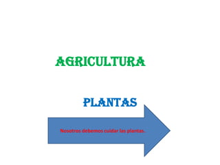 Agricultura


         Plantas

Nosotros debemos cuidar las plantas.
 