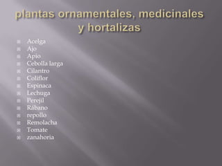    Acelga
   Ajo
   Apio
   Cebolla larga
   Cilantro
   Coliflor
   Espinaca
   Lechuga
   Perejil
   Rábano
   repollo
   Remolacha
   Tomate
   zanahoria
 