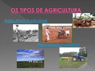 Agricultura Tradicional
Agricultura Moderna
 