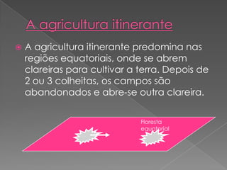  A agricultura itinerante predomina nas
regiões equatoriais, onde se abrem
clareiras para cultivar a terra. Depois de
2 ou 3 colheitas, os campos são
abandonados e abre-se outra clareira.
Floresta
equatorial
 