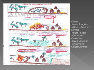 Várias
denominações:
-Milpa – América
central
-Roça – Brasil
- Conuco –
Venezuela
-Rây- Indonésia
-Chitemene –
África Central
 