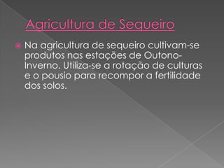  Na agricultura de sequeiro cultivam-se
produtos nas estações de Outono-
Inverno. Utiliza-se a rotação de culturas
e o pousio para recompor a fertilidade
dos solos.
 