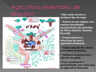 •Não existe recurso a
qualquer tipo de rega;
• Pratica-se nas regiões com
maiores densidades
populacionais dos planaltos
de África (Quénia, Ruanda,
Burundi);
• É mais intensiva e
minuciosa do que a
agricultura itinerante;
• Fazem rotação de culturas
e recorrem ao pousio;
• Fertilizam as terras com o
estrume do gado;
•Fraco rendimento e
produtividade mas maior que
na agricultura itinerante.
Legumes
feijão,
milho e
mandioca
 