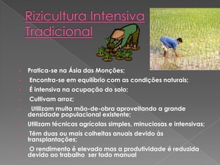 • Pratica-se na Ásia das Monções;
• Encontra-se em equilíbrio com as condições naturais;
• É intensiva na ocupação do solo;
• Cultivam arroz;
• Utilizam muita mão-de-obra aproveitando a grande
densidade populacional existente;
• Utilizam técnicas agrícolas simples, minuciosas e intensivas;
• Têm duas ou mais colheitas anuais devido às
transplantações;
• O rendimento é elevado mas a produtividade é reduzida
devido ao trabalho ser todo manual
 