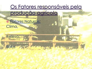  Fatores Naturais:
Clima,
Relevo,
Solos
 
