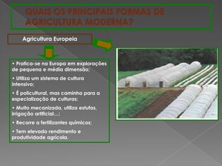 Agricultura Europeia
• Pratica-se na Europa em explorações
de pequena e média dimensão;
• Utiliza um sistema de cultura
intensivo;
• É policultural, mas caminha para a
especialização de culturas;
• Muito mecanizada, utiliza estufas,
irrigação artificial…;
• Recorre a fertilizantes químicos;
• Tem elevado rendimento e
produtividade agrícola.
 