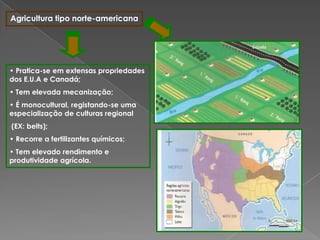Agricultura tipo norte-americana
• Pratica-se em extensas propriedades
dos E.U.A e Canadá;
• Tem elevada mecanização;
• É monocultural, registando-se uma
especialização de culturas regional
(EX: belts);
• Recorre a fertilizantes químicos;
• Tem elevado rendimento e
produtividade agrícola.
 