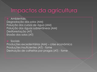  Ambientais:
Degradação dos solos (AM)
Poluição dos cursos de água (AM)
Poluição das águas subterrâneas (AM)
Desflorestação (AT)
Erosão dos solos (AT)
 Sociais
Produções excedentárias (AM) – crise económica
Produções insuficientes (AT) - fome
Destruição de colheitas por pragas (AT) - fome
 