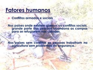  Conflitos armados e sociais
Nos países onde existem guerras ou conflitos sociais,
grande parte das pessoas abandona os campos
para se refugiarem nas cidades.
Nos países sem conflitos as pessoas trabalham na
agricultura sem problemas de segurança.
 