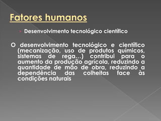 › Desenvolvimento tecnológico científico
O desenvolvimento tecnológico e científico
(mecanização, uso de produtos químicos,
sistemas de rega…) contribui para o
aumento da produção agrícola, reduzindo a
quantidade de mão de obra, reduzindo a
dependência das colheitas face às
condições naturais
 
