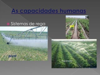  Sistemas de rega
pivot
pé
Aspersão
 
