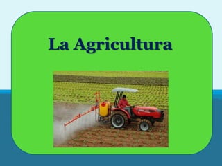 La Agricultura

 