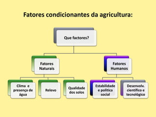 Agricultura | PPTX
