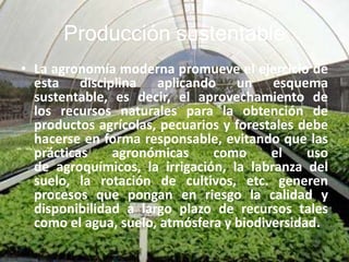 Producción sustentable
• La agronomía moderna promueve el ejercicio de
esta disciplina aplicando un esquema
sustentable, es decir, el aprovechamiento de
los recursos naturales para la obtención de
productos agrícolas, pecuarios y forestales debe
hacerse en forma responsable, evitando que las
prácticas agronómicas como el uso
de agroquímicos, la irrigación, la labranza del
suelo, la rotación de cultivos, etc. generen
procesos que pongan en riesgo la calidad y
disponibilidad a largo plazo de recursos tales
como el agua, suelo, atmósfera y biodiversidad.
 