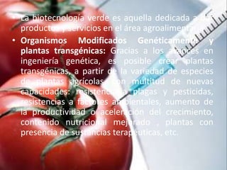 • La biotecnología verde es aquella dedicada a dar
productos y servicios en el área agroalimentaria
• Organismos Modificados Genéticamente y
plantas transgénicas: Gracias a los avances en
ingeniería genética, es posible crear plantas
transgénicas, a partir de la variedad de especies
de plantas agrícolas, con multitud de nuevas
capacidades: resistencia a plagas y pesticidas,
resistencias a factores ambientales, aumento de
la productividad o aceleración del crecimiento,
contenido nutricional mejorado , plantas con
presencia de sustancias terapéuticas, etc.
 
