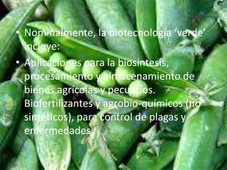 • Nominalmente, la biotecnología ‘verde’
incluye:
• Aplicaciones para la biosíntesis,
procesamiento y almacenamiento de
bienes agrícolas y pecuarios.
Biofertilizantes y agrobio-químicos (no
sintéticos), para control de plagas y
enfermedades.
 