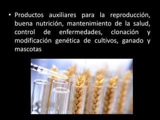 • Productos auxiliares para la reproducción,
buena nutrición, mantenimiento de la salud,
control de enfermedades, clonación y
modificación genética de cultivos, ganado y
mascotas
 