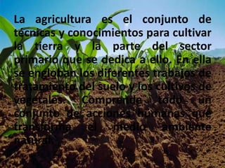 La agricultura es el conjunto de
técnicas y conocimientos para cultivar
la tierra y la parte del sector
primario que se dedica a ello. En ella
se engloban los diferentes trabajos de
tratamiento del suelo y los cultivos de
vegetales. Comprende todo un
conjunto de acciones humanas que
transforma el medio ambiente
natural.
 