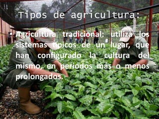 Tipos de agricultura:
• Agricultura tradicional: utiliza los
sistemas típicos de un lugar, que
han configurado la cultura del
mismo, en periodos más o menos
prolongados.
 