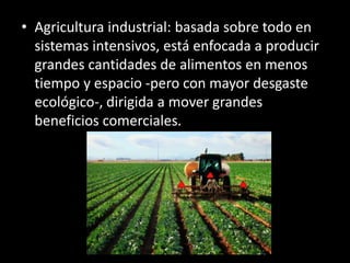 • Agricultura industrial: basada sobre todo en
sistemas intensivos, está enfocada a producir
grandes cantidades de alimentos en menos
tiempo y espacio -pero con mayor desgaste
ecológico-, dirigida a mover grandes
beneficios comerciales.
 