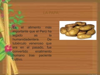 LA PAPA: 
 Es el alimento más 
importante que el Perú ha 
legado as la 
humanidadentera. De 
tubérculo venenoso que 
era en el pasado, fue 
convertido enalimento 
humano tras paciente 
cultivo. 
 