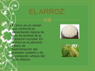 EL ARROZ: 
 
 El arroz es un cereal 
que conforma la 
alimentación básica de 
más de lamitad de la 
población mundial. En 
el Perú es el alimento 
básico de 
laalimentación del 
poblador costeño y de 
la población urbana del 
recto delpaís. 
 
