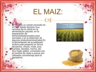 EL MAIZ: 
 
 El maíz es un cereal conocido en 
el Perú desde tiempos muy 
remotos.Se le utiliza en la 
alimentación popular, en la 
preparación de 
alimentosbalanceados para 
animales y en la obtención de 
algunos productosindustriales.En 
la alimentación de la población 
andina está presente en forma 
decancha, choclo, mote, jora, 
humitas, tamales, harina, etc. 
Sus hojas ytallos, conocidos con 
el nombre de chala o panca son 
utilizados comoforraje para la 
ganadería. 
 