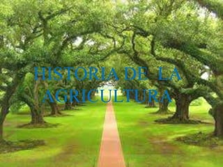 HISTORIA DE LA 
AGRICULTURA 
 