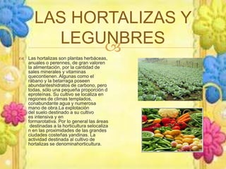 LAS HORTALIZAS Y 
LEGUNBRES 
 
 Las hortalizas son plantas herbáceas, 
anuales o perennes, de gran valoren 
la alimentación, por la cantidad de 
sales minerales y vitaminas 
quecontienen. Algunas como el 
rábano y la betarraga poseen 
abundanteshidratos de carbono, pero 
todas, sólo una pequeña proporción d 
eproteínas. Su cultivo se localiza en 
regiones de climas templados, 
conabundante agua y numerosa 
mano de obra.La explotación 
del suelo destinado a su cultivo 
es intensiva y en 
formarotativa. Por lo general las áreas 
destinadas a la horticultura selocaliza 
n en las proximidades de las grandes 
ciudades costeñas yandinas. La 
actividad destinada al cultivo de 
hortalizas se denominahorticultura. 
 