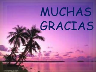 MUCHAS 
GRACIAS 
