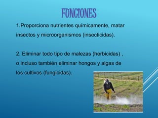 1.Proporciona nutrientes químicamente, matar
insectos y microorganismos (insecticidas).
2. Eliminar todo tipo de malezas (herbicidas) ,
o incluso también eliminar hongos y algas de
los cultivos (fungicidas).
FUNCIONES
 
