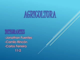 AGRICULTURA
INTEGRANTES
-Jonathan Fuentes
-Camilo Rincón
-Carlos Ferreira
11-2
 