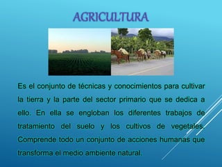 Es el conjunto de técnicas y conocimientos para cultivar
la tierra y la parte del sector primario que se dedica a
ello. En ella se engloban los diferentes trabajos de
tratamiento del suelo y los cultivos de vegetales.
Comprende todo un conjunto de acciones humanas que
transforma el medio ambiente natural.
AGRICULTURA
 