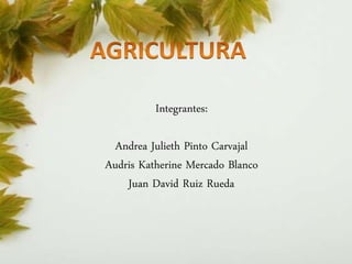 Integrantes: 
Andrea Julieth Pinto Carvajal 
Audris Katherine Mercado Blanco 
Juan David Ruiz Rueda 
 