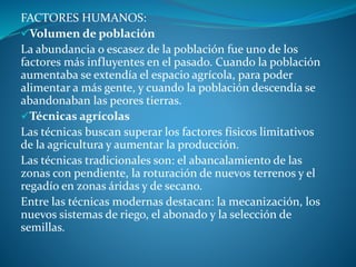 FACTORES HUMANOS:
Volumen de población
La abundancia o escasez de la población fue uno de los
factores más influyentes en el pasado. Cuando la población
aumentaba se extendía el espacio agrícola, para poder
alimentar a más gente, y cuando la población descendía se
abandonaban las peores tierras.
Técnicas agrícolas
Las técnicas buscan superar los factores físicos limitativos
de la agricultura y aumentar la producción.
Las técnicas tradicionales son: el abancalamiento de las
zonas con pendiente, la roturación de nuevos terrenos y el
regadío en zonas áridas y de secano.
Entre las técnicas modernas destacan: la mecanización, los
nuevos sistemas de riego, el abonado y la selección de
semillas.
 