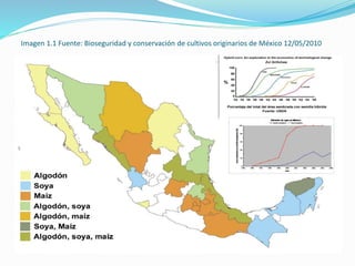 Imagen 1.1 Fuente: Bioseguridad y conservación de cultivos originarios de México 12/05/2010
 