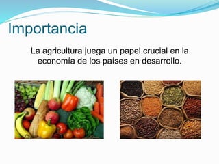 Importancia
La agricultura juega un papel crucial en la
economía de los países en desarrollo.
 